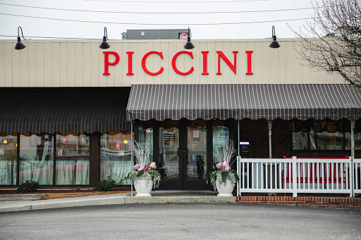 Piccini Wood Fired Brick Oven Pizza